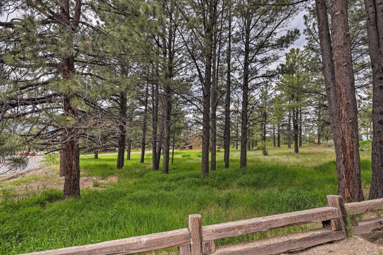 Condo With Grill Access Close To Angel Fire Resort Bagian luar foto